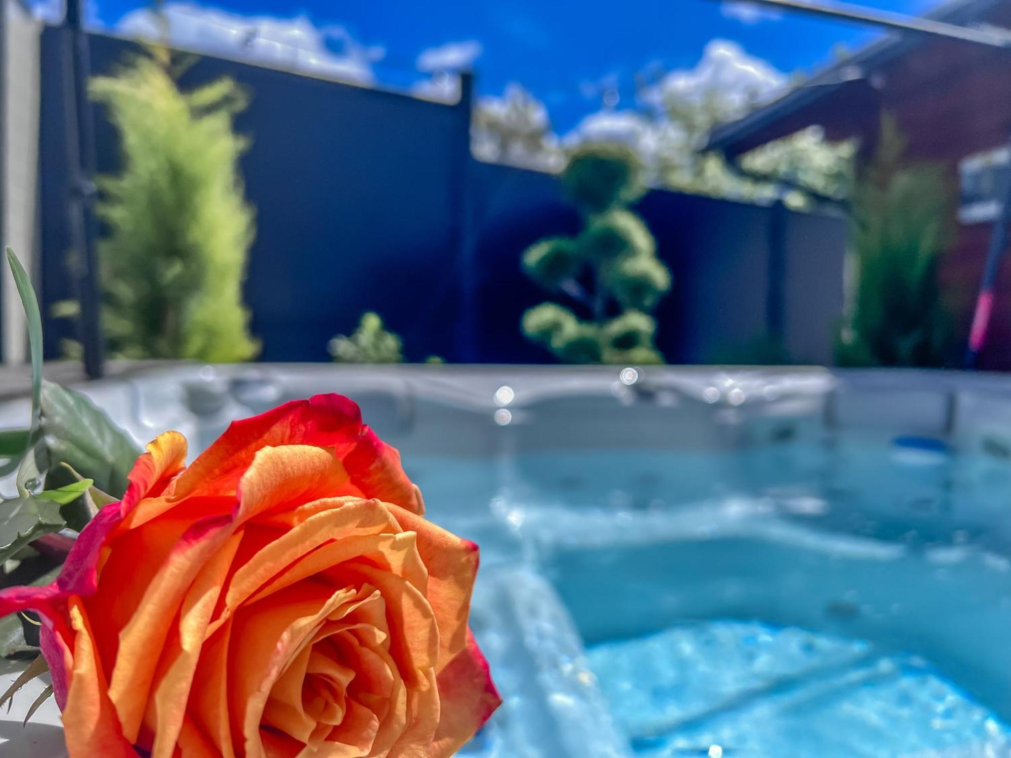 Apartment Sova Or Deluxe Room 33 بليد المظهر الخارجي الصورة